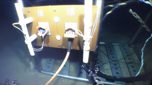 The platform is being plugged by the ROV (May 2018)