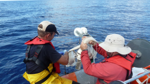 Plankton net's preparation for sampling (Sep. 2012)